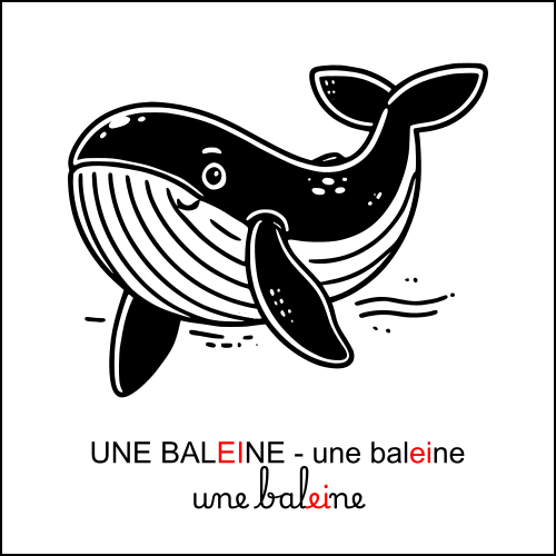 Graphie ei